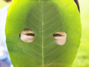 奈良の快適な滞在を実現する東横INN奈良新大宮駅前：利便性と快適さを兼ね備えたビジネスホテルの魅力