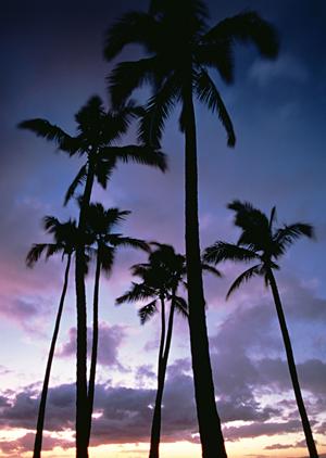 大阪・新大阪駅から徒歩6分の快適ビジネスホテル｜東横INN新大阪中央口本館の魅力と詳細情報