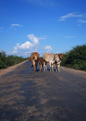 愛知県三河安城駅近くの快適ビジネスホテル｜東横INN三河安城駅新幹線南口1の魅力と概要