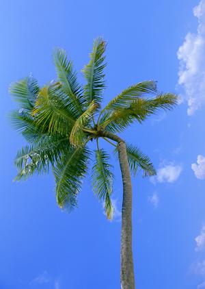 韓国・ソウルで快適な宿泊体験を提供する東横INNソウル江南の全貌と魅力