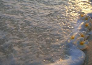 栃木県宇都宮のビジネスホテル「東横INN宇都宮駅前2」：快適な滞在を実現する魅力と便利なアクセス情報